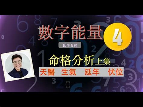 生氣 延年|【天醫 延年 生氣】解鎖你的數字運勢：天醫、延年、生氣號碼全。